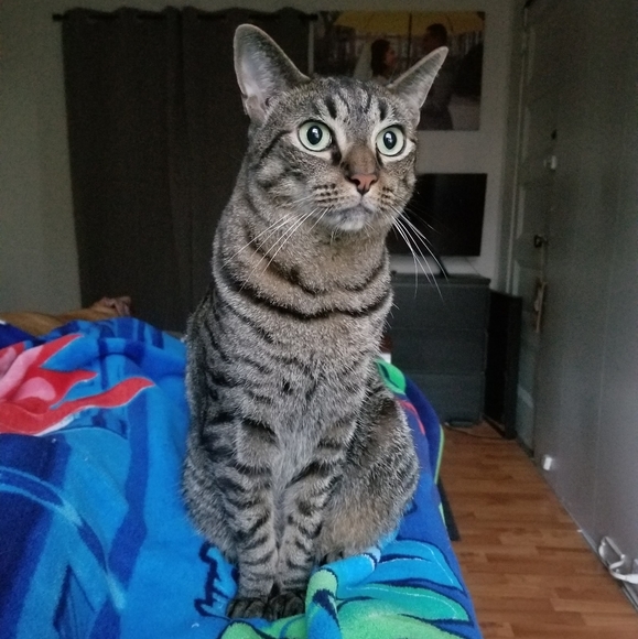 Meet your Posher, Karen - Picture 4 of 5